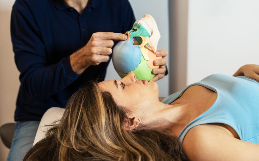 Therapist explaining cranial bone structure to a patient, demonstrating therapy techniques for educational purposes.